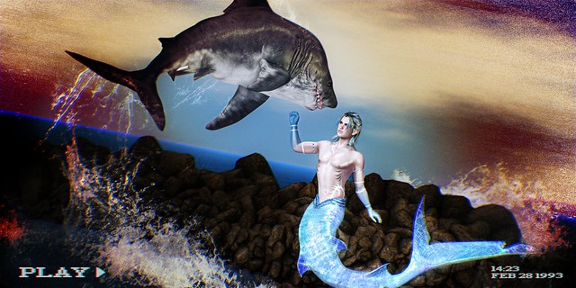 🐋 FREE MEGALODON!