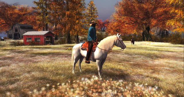 In awe at the rich autumn colours at 'Broken'