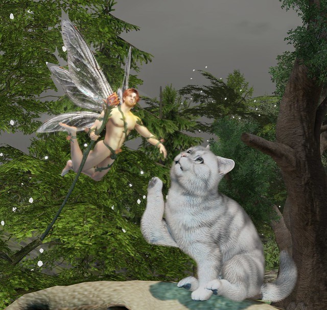 Feline vs Fairy