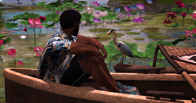 Bird watching - Kawayan at Tubig