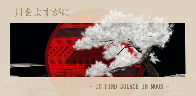 The Outer Garden New garden『月をよすがに-To find solace in moon🌙』Open to the public.