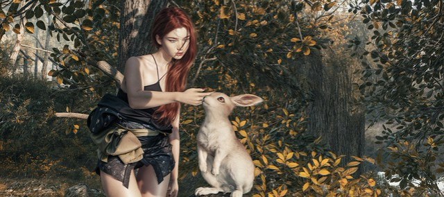 Chasing rabbit