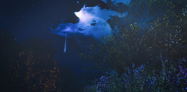 TNC Spring/Summer 2024 Photo Contest #2