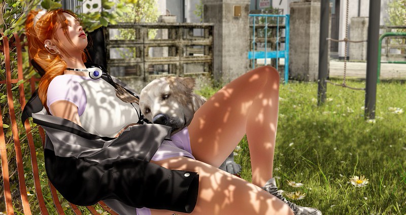 Loving Sun