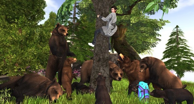 Why does it always end so bearly?