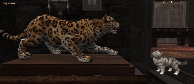 Sara vs the taxidermy leopard