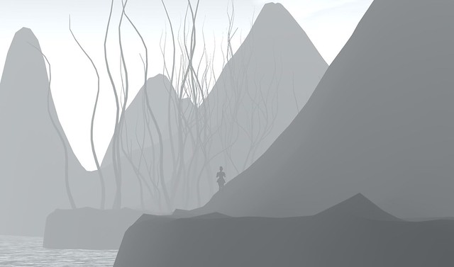 Lost in a forest