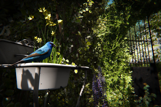Missing Warm Spring
