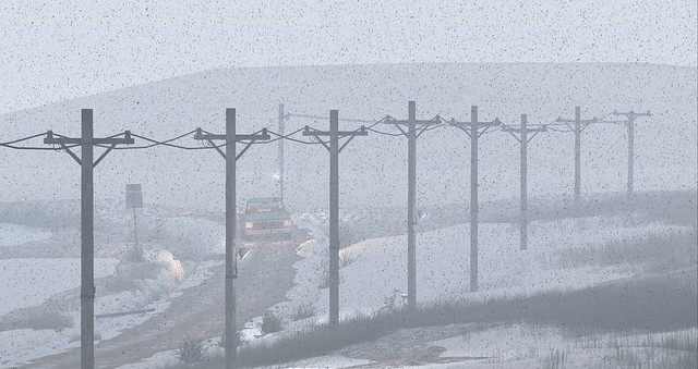 Winter 4/9