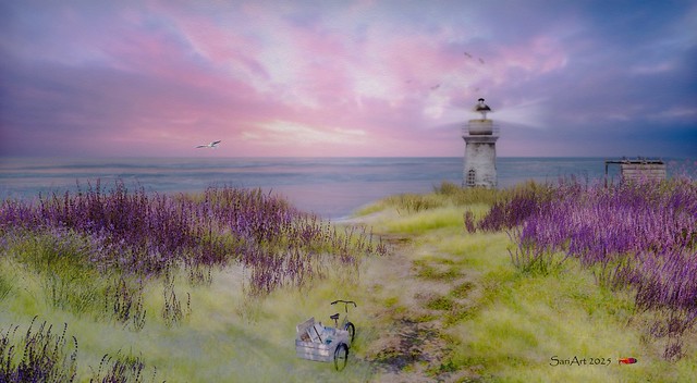 Path to Beauty